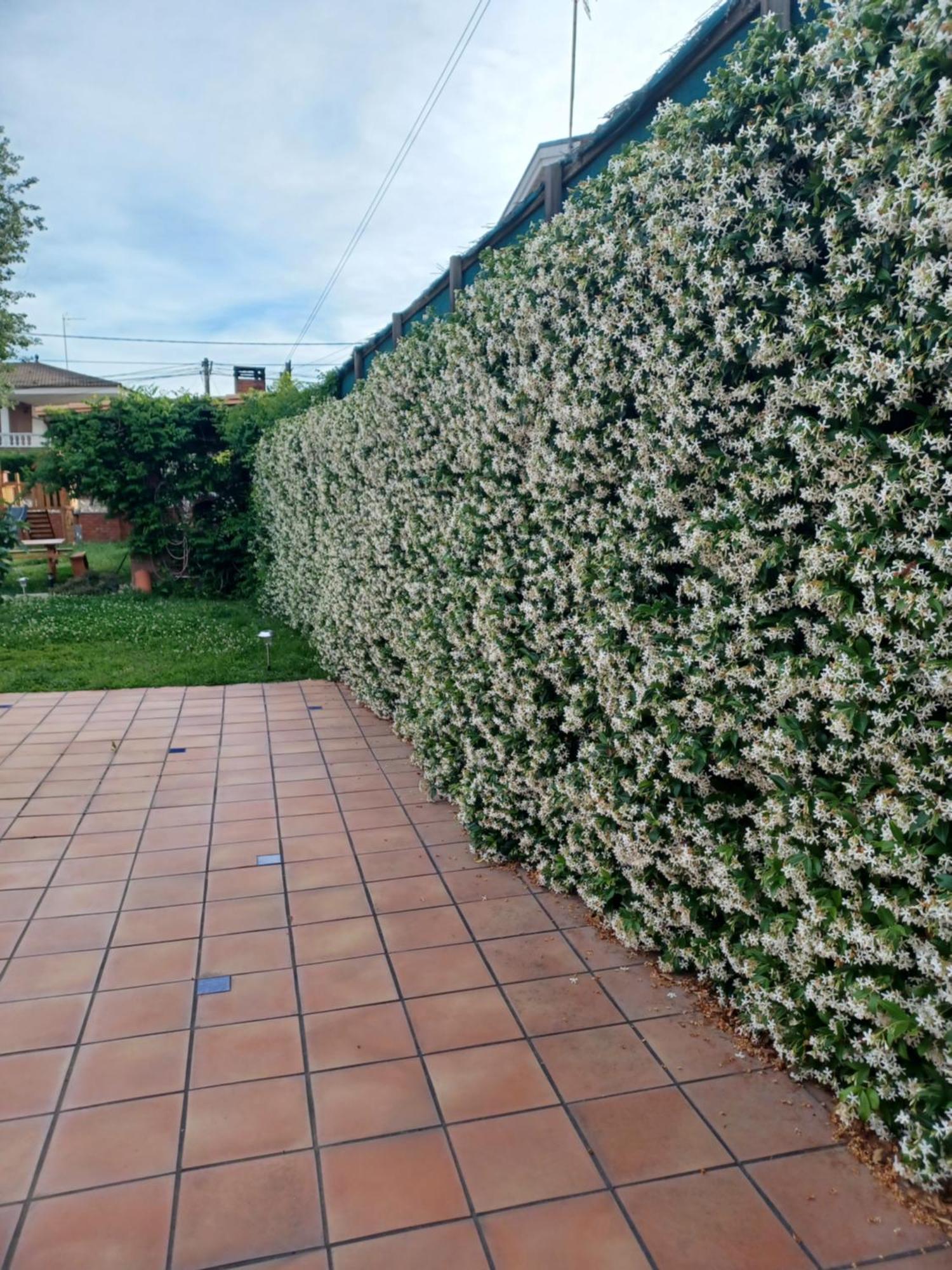 Вилла Piscina De Sal Barbacoa Wifi, Parking Gratis, 3 Min Pga Casa El Roble Жирона Экстерьер фото
